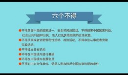NGO组织最新爆料,揭露社会问题背后的惊人真相！”